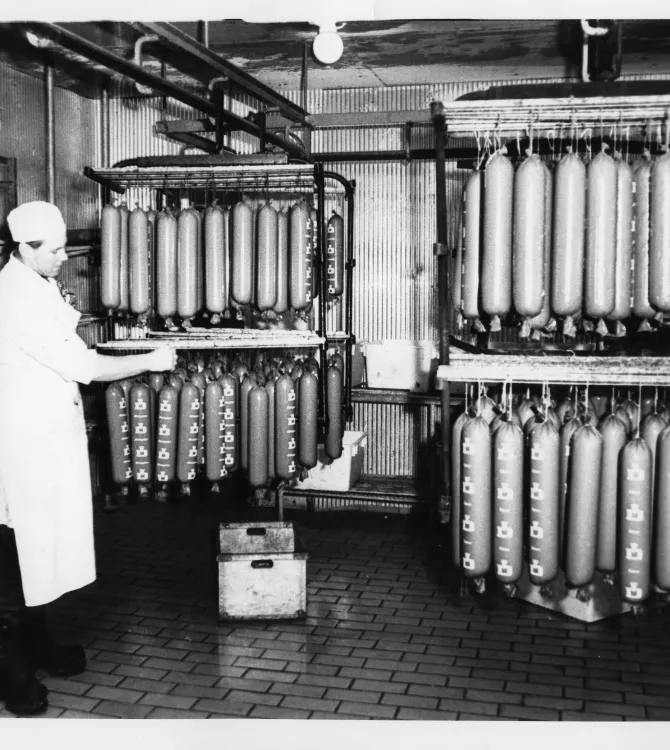 Äldre interiörbild från Dahlmans korvfabrik med hängande lördagskorvar.